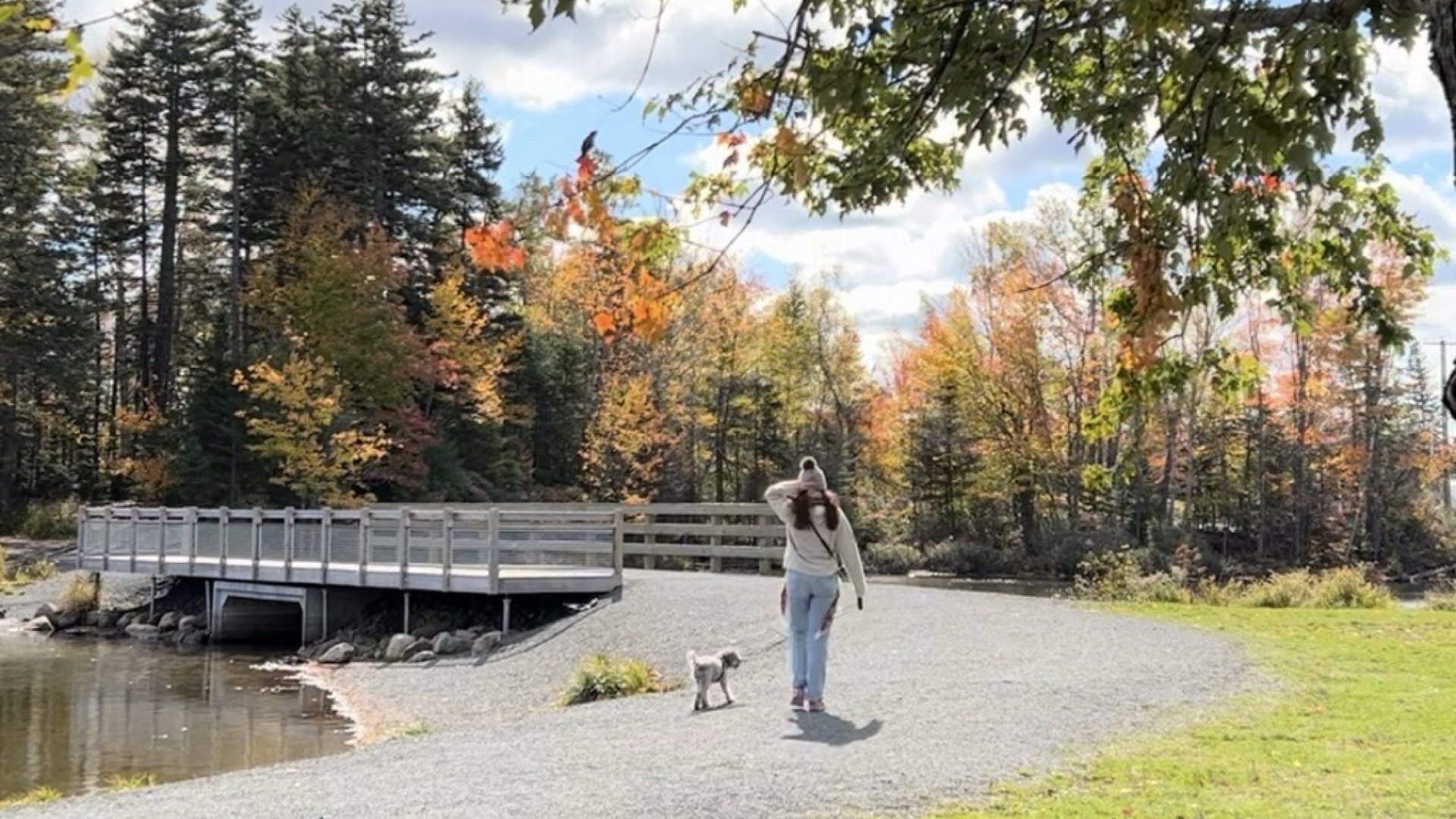 Women walking her dog at Killarney Lake