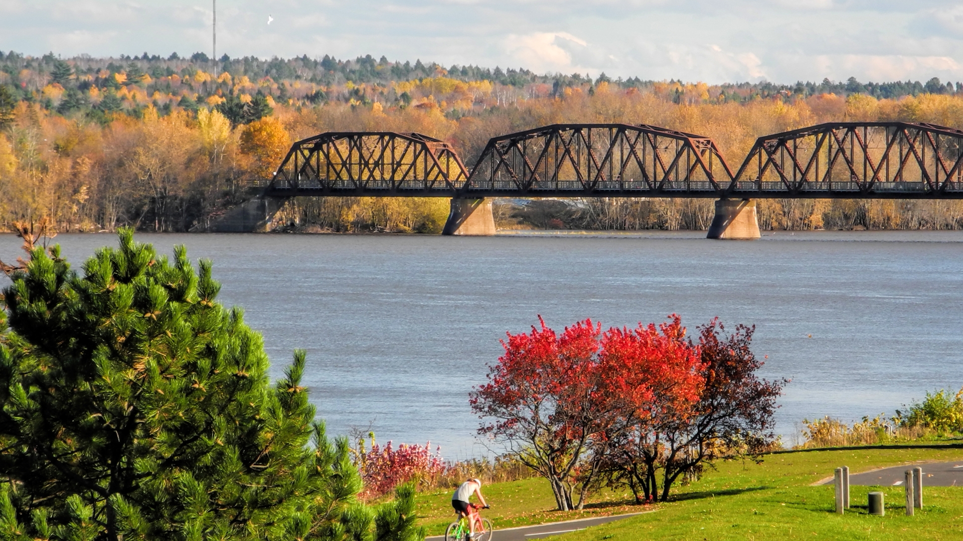 Person biking on the river front with the Bill Thrope Walking Bridge in the background