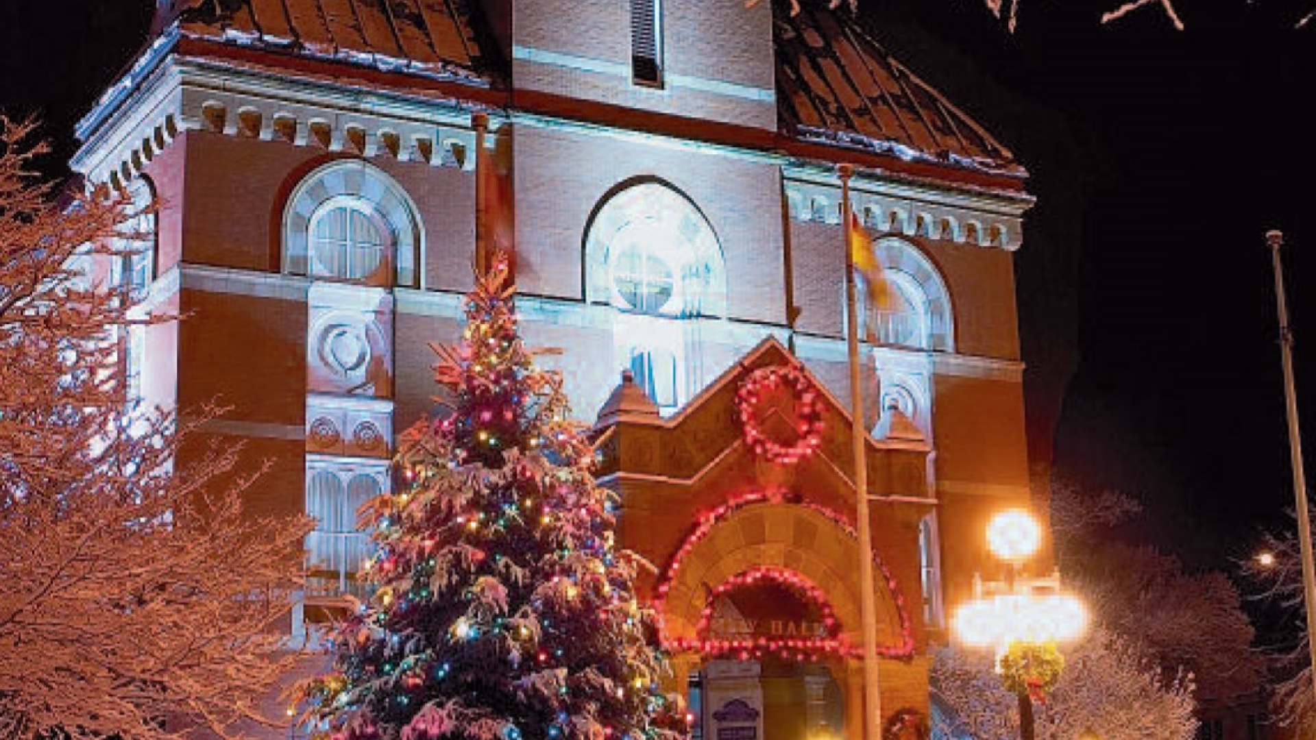 Christmas Tree in front of City Hall