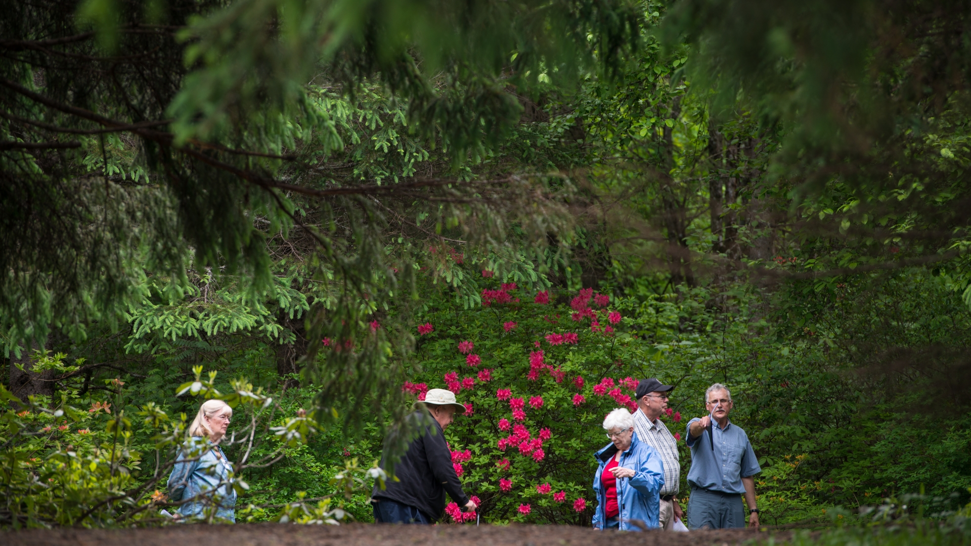 Group walking in Fredericton Botanic Garden
