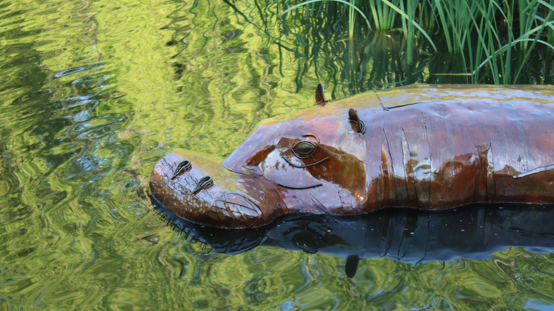 Harold the Hippo