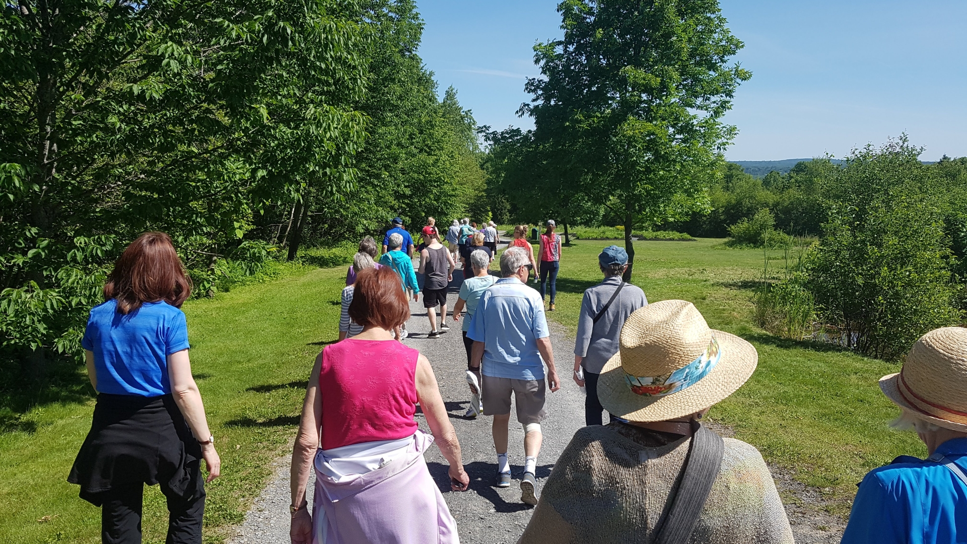 Wednesday Walkers