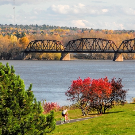 Walking Bridge over the River in Fall