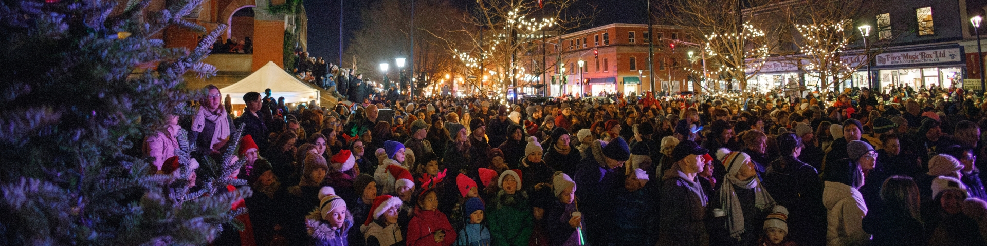 Crowd in front of City Hall with Christmas tree lights
