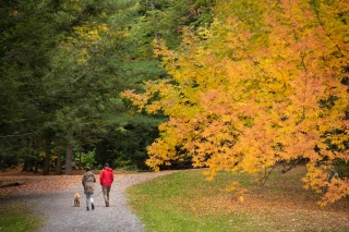 Two people walking their dog on trail during fall