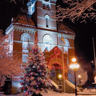 Christmas Tree in front of City Hall